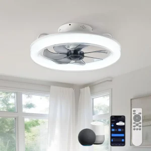 Smart Ceiling Fan